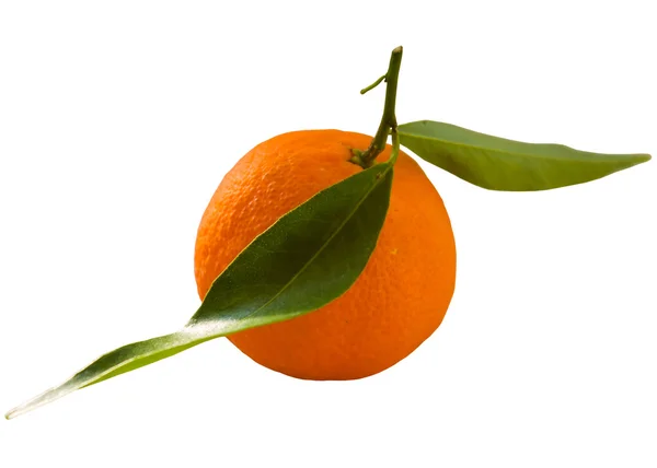 Süße reife Mandarine isoliert auf weißem Hintergrund. — Stockfoto