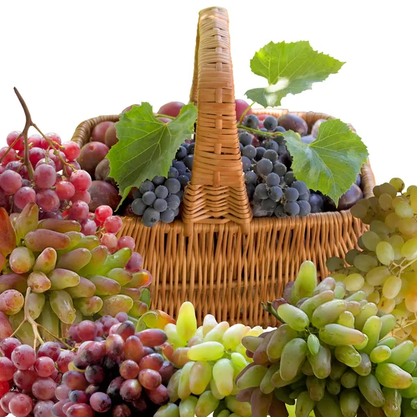 Clusters of Ripe Grapes. — Stock Photo, Image