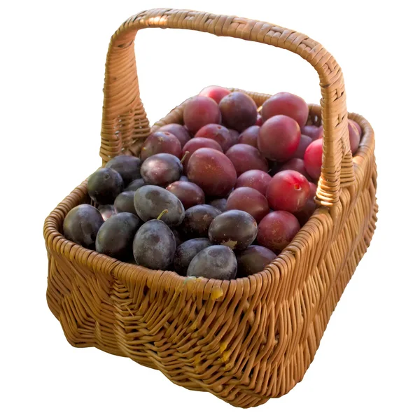 Basket with fresh plums. — Stock Photo, Image