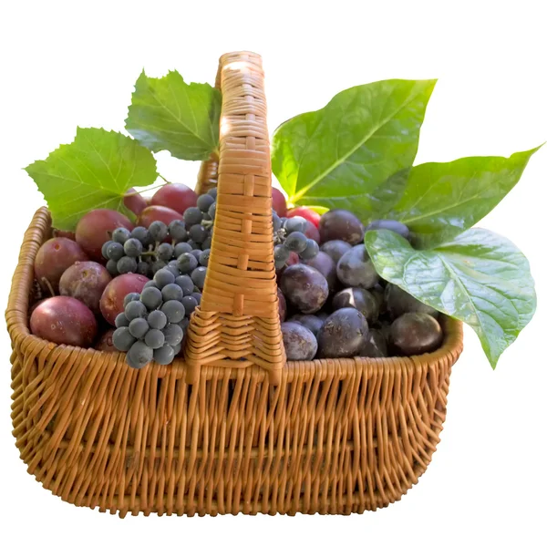 Basket with fresh plums and grapes. — Stock Photo, Image