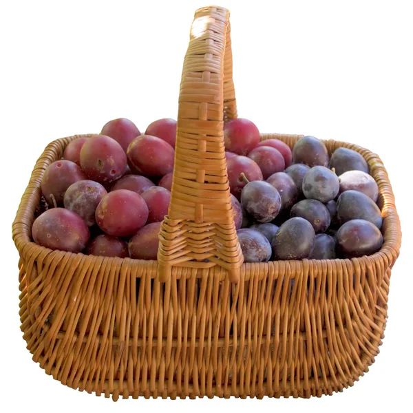 Basket with fresh plums. — Stock Photo, Image