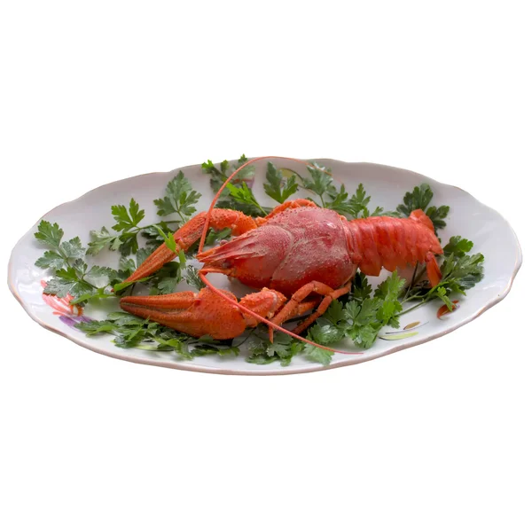 Boiled crayfish closeup. — Stock Photo, Image