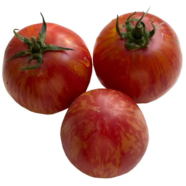 Dojrzałe pomidory. — Zdjęcie stockowe