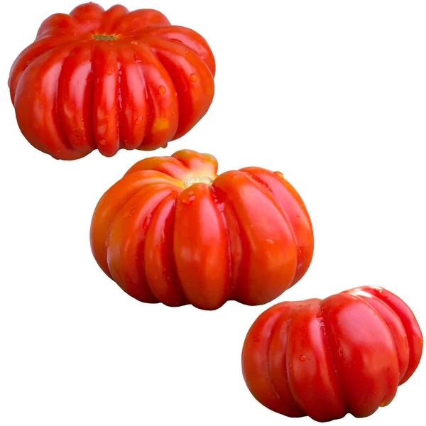 Tomatenreif. — Stockfoto