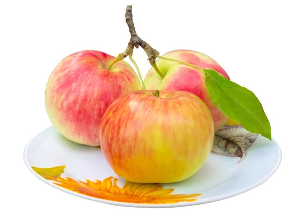 Тарелка с яблоками . — стоковое фото