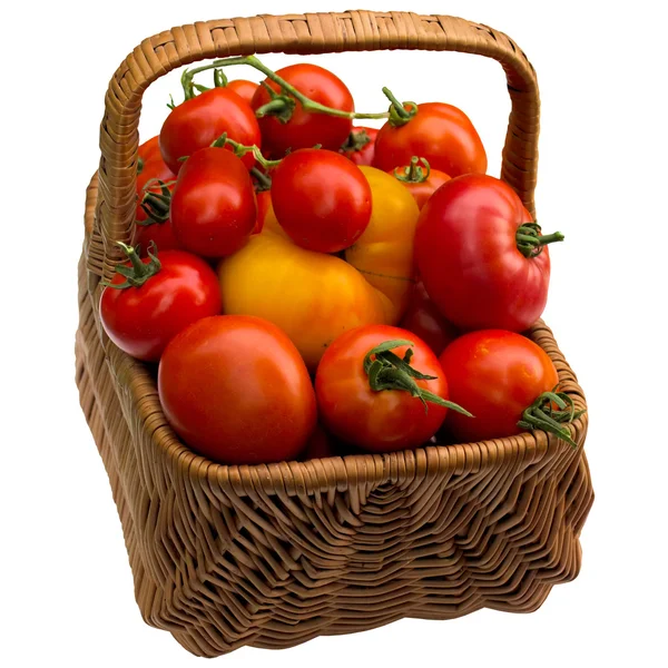 Koš s rajčaty. — Stock fotografie