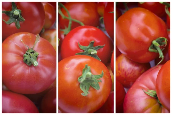 Zralé rajče. — Stock fotografie