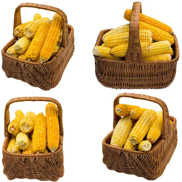 Canasta de maíz . — Foto de Stock