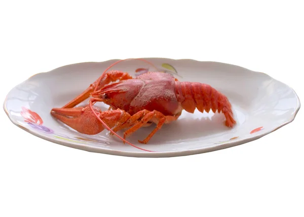 Boiled crayfish closeup. — Stock Photo, Image