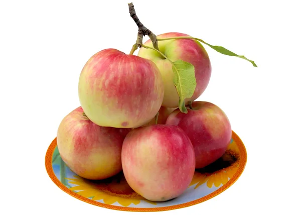 Plate with apples. — Stock Photo, Image