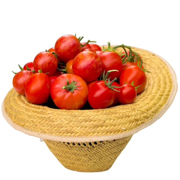 Hat with tomatoes. — Stock Photo, Image