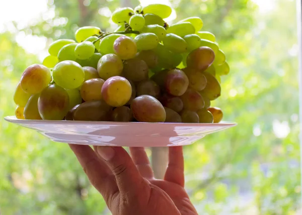 Piatto con uva . — Foto Stock