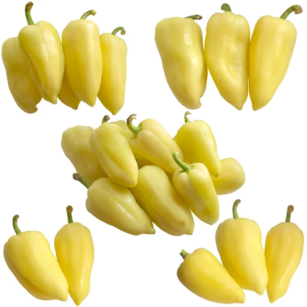 Gekleurde paprika's op witte achtergrond. — Stockfoto