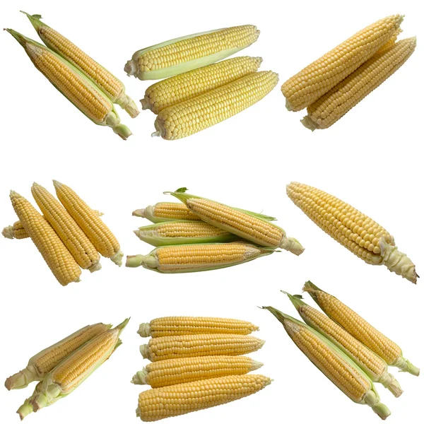 Kukorica izolált fehér alapon. — Stock Fotó