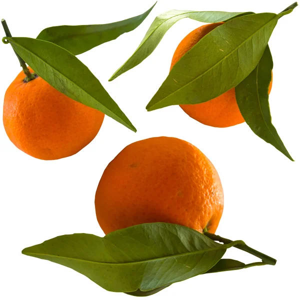 Słodkie dojrzałe mandarynka na białym tle na białym tle. — Zdjęcie stockowe