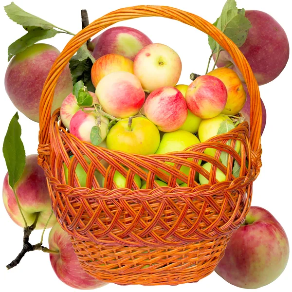 Jesienią piękne soczyste jabłka. — Zdjęcie stockowe