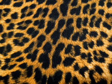 arka plan leopar deseni