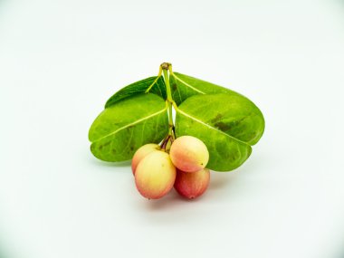 Carunda veya Karonda, bu meyve kanser tedavi edebilir.