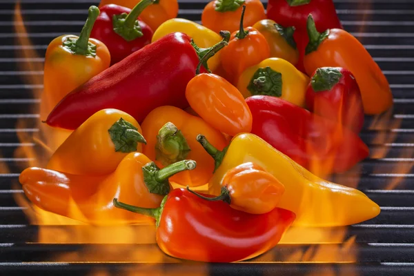 Multi-colored  peppers roasting on a flaming hot barbecue grill — Stock Photo, Image