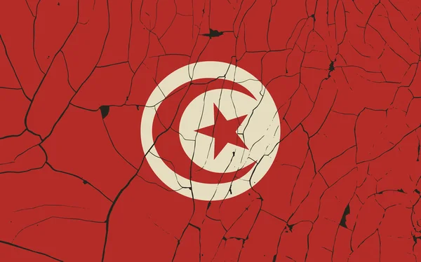 Tunisie vieux drapeau avec fracture — Image vectorielle