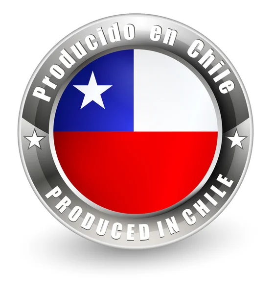 Producido en Chile etiqueta . — Vector de stock