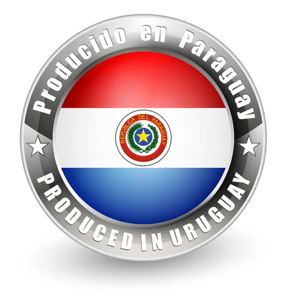 Producido en etiqueta Paraguay . — Vector de stock