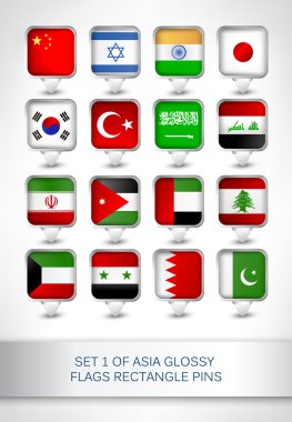 1 Asya parlak bayrakları dikdörtgen Pins ayarla