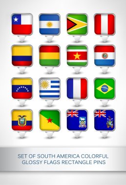 Set of south america colorful glossy flags rectangle pins clipart