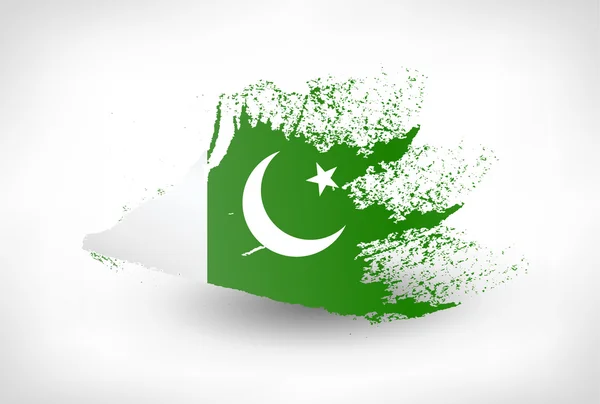 Pincel pintado bandeira do Paquistão — Vetor de Stock