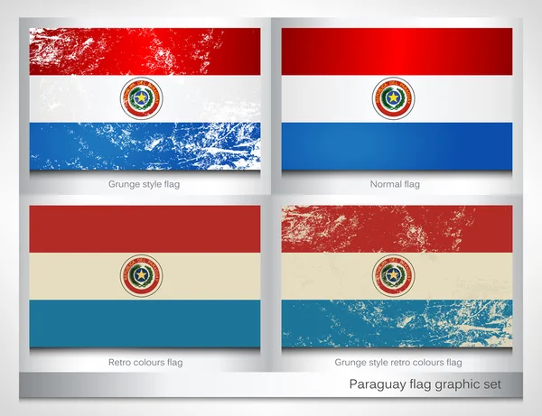 Paraguay flag graphic set — Stok Vektör