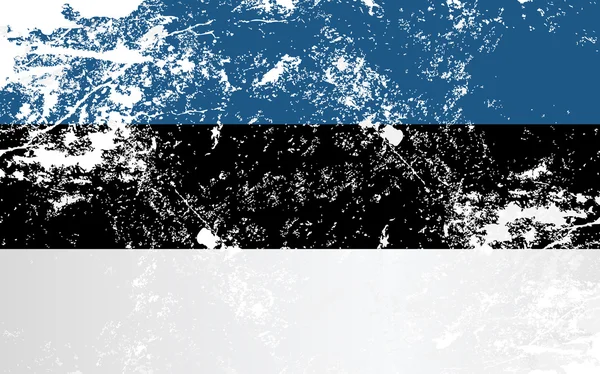 Estonya Grunge doku bayrak — Stok Vektör