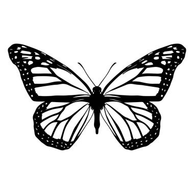 Bir kelebeğin izole edilmiş silueti.