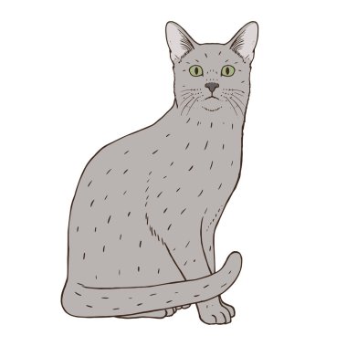 İzole edilmiş gerçekçi kedi görüntüsü