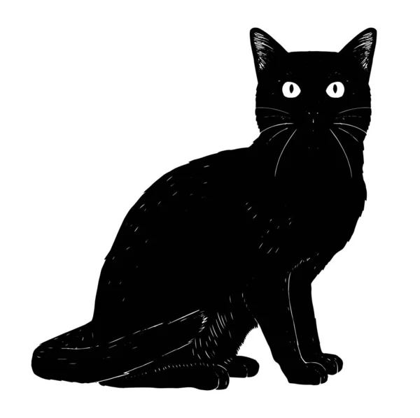 Imagen aislada de gato realista — Vector de stock