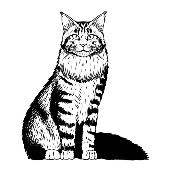 Silueta aislada de un gato realista — Vector de stock