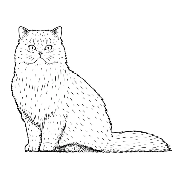 Изолированный силуэт реалистичной кошки — стоковый вектор