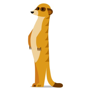 Boş arka plan üzerinde izole karikatür Meerkat