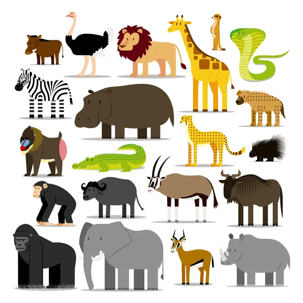 Ensemble de différents animaux africains isolés — Image vectorielle