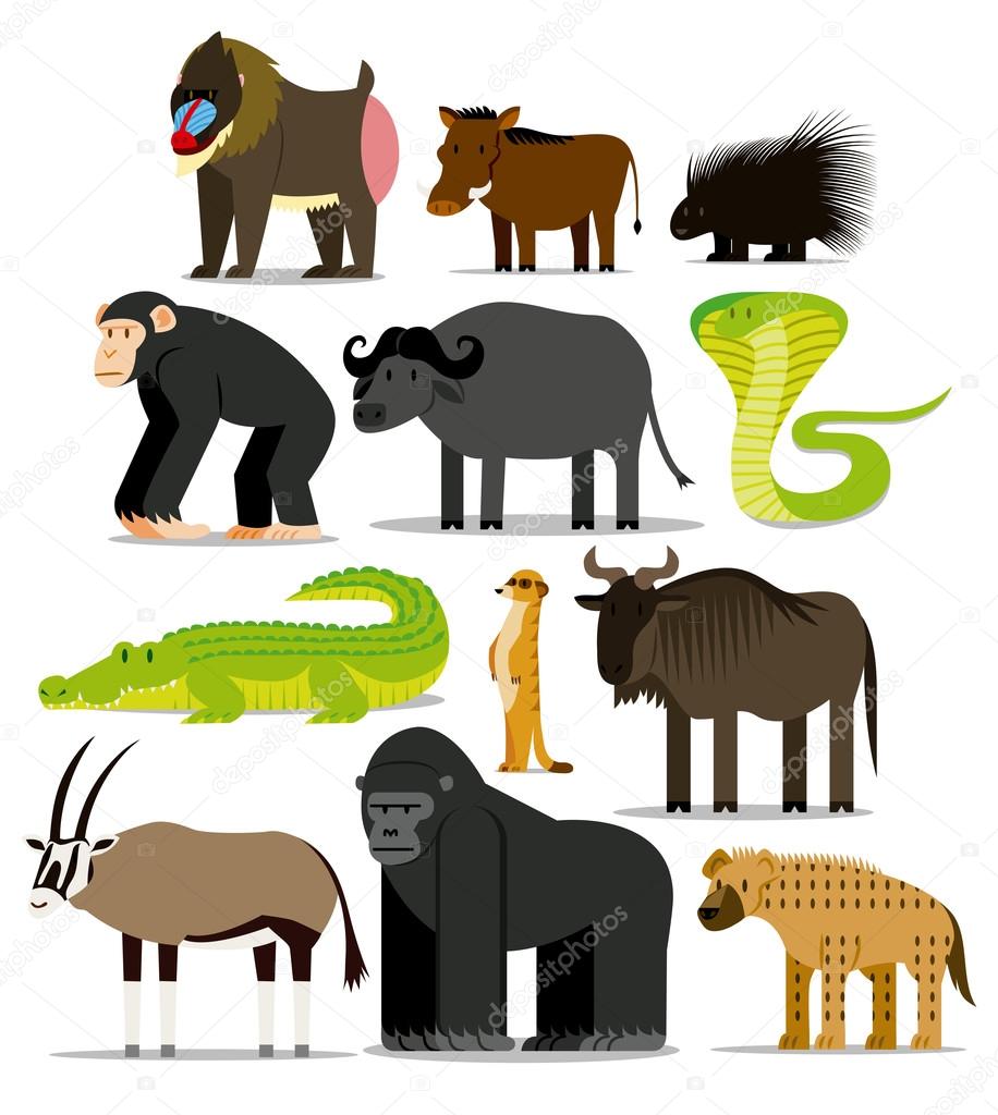 Set Of Different African Animals Isolated