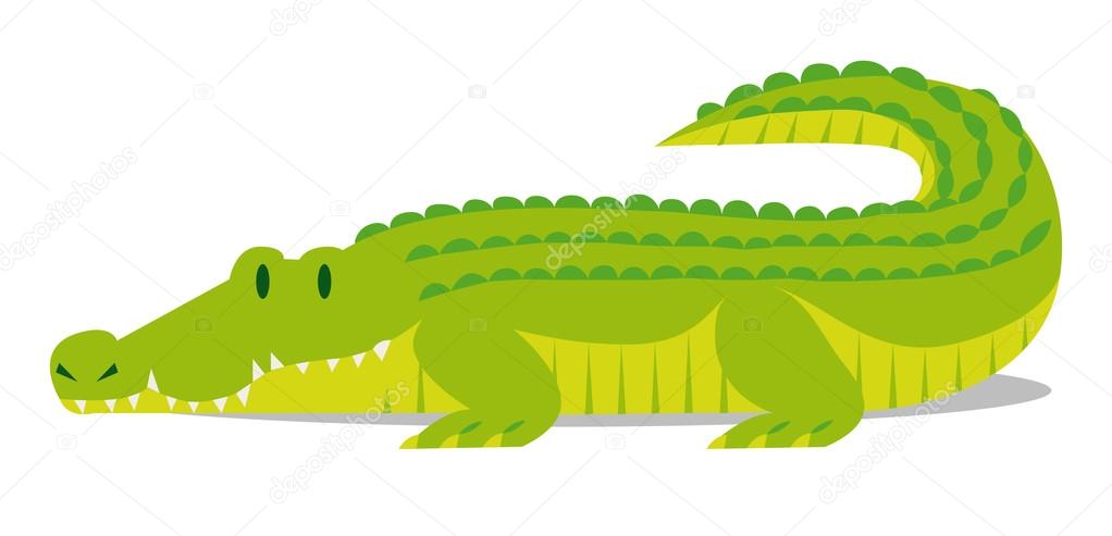 Cartoon Crocodile solated On Blank Background