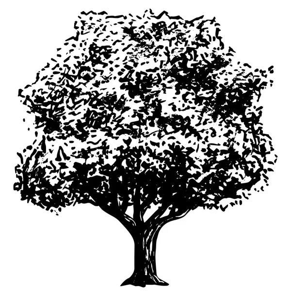 Dibujo de tinta de árbol aislado sobre fondo blanco — Vector de stock