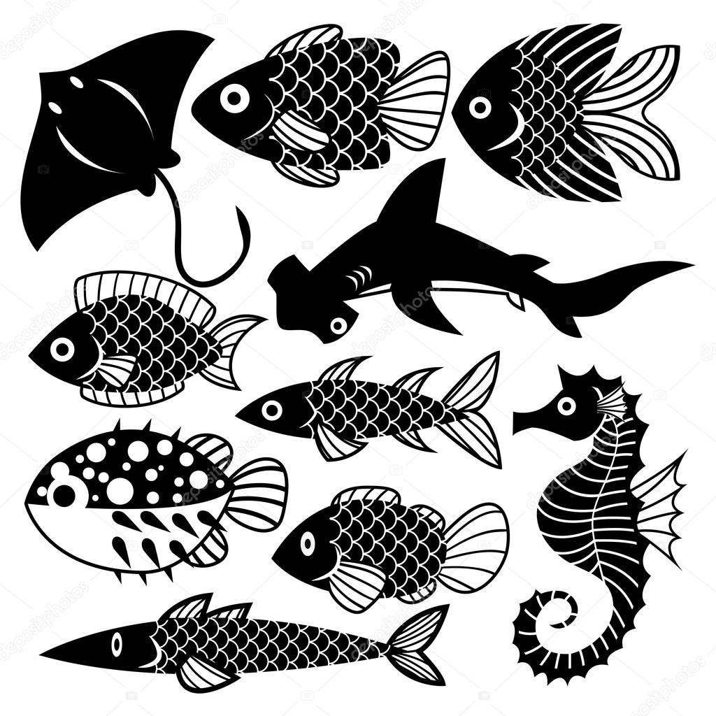Set Off Different Fishes Isolated On White Background