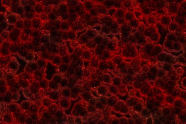 Mükemmel soyut resimli cam deseni