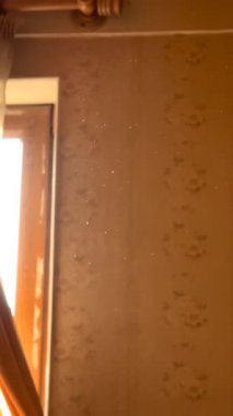 Sabahları ev tozu, evde insan tozu, havada parçacıklar, virüs. Yüksek kalite 4k.