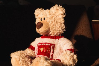 Beyaz arka planda kırmızı ve beyaz çizgili süveteri olan doldurulmuş bir oyuncak ayı. Sıcak yaz güneşinin arka planına karşı yumuşak bir oyuncak. Ayının kahverengi gözleri ve kahverengi bir burnu var.