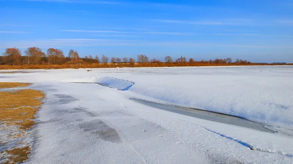 Myshkino Köyü, Rusya Federasyonu.
