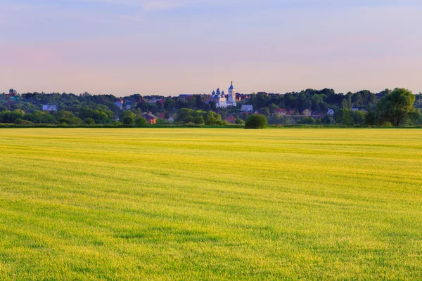 Ramenskiy district, Rusya Federasyonu.