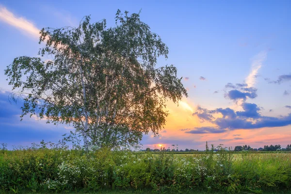 Ramenskiy district, Rusya Federasyonu.