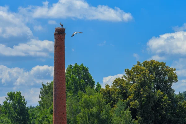 Zdislavice, Czech Republic.