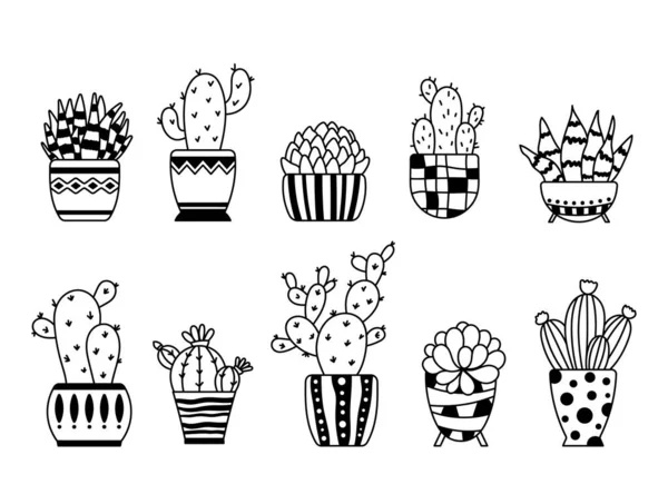 Cactus et succulente cloison isolée boho, Graphique vectoriel cactus en pot, Plantes d'intérieur en pots de fleurs éléments décoratifs floraux noirs et blancs, Plantes de ligne, articles de design botanique — Image vectorielle